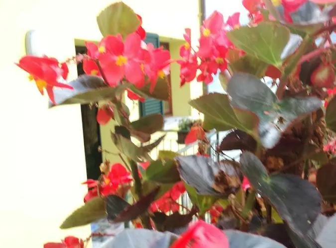 Balcone Dei Limoni Apartmán Nesso