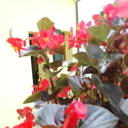 Balcone Dei Limoni アパート ネッソ